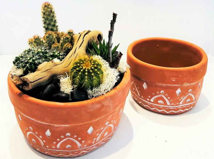 Cactus Planter, The English Garden Best Flower Delivery