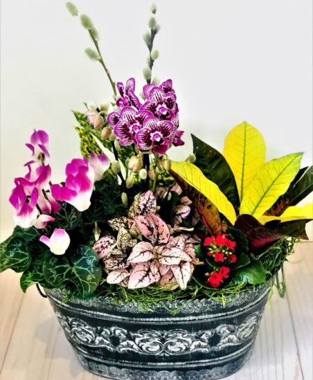 Houseplant Garden, Salt Lake City Best Flower Shop Delivery
